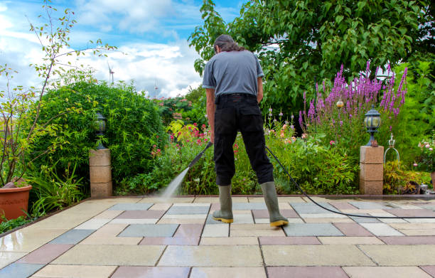 Best Animal Enclosure Cleaning  in Alburtis, PA